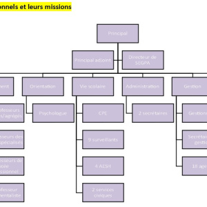 info document